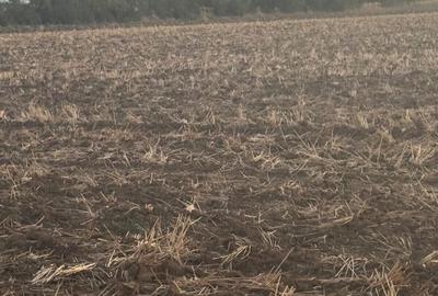 Teren în Brănești - 3