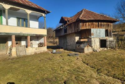De vanzare casa taranesca cu 3 camere si teren - 4