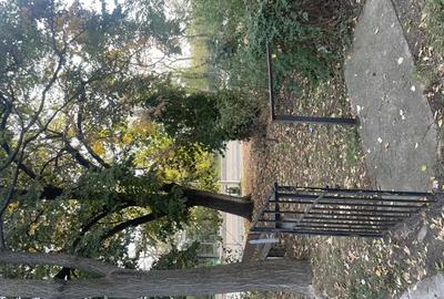 Apartament ultracentral - 9