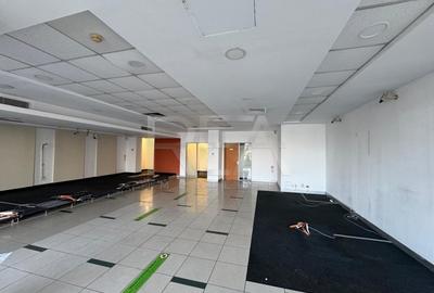 Spatiu comercial Bdul Timisoara 250mp - 3