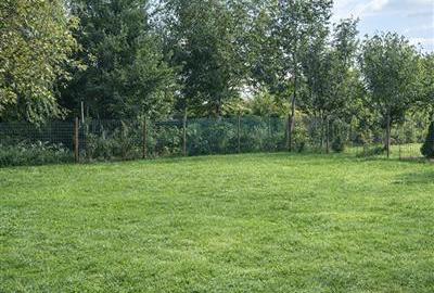 Casă individuală cu 5 camere cu Teren 660 Mp în Sângeorgiu de Mureș - 5