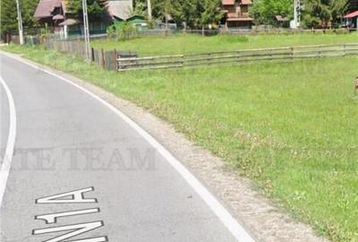 Teren de 1200 mp, în Măneciu - 6