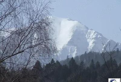 Teren situat in Predeal - 5