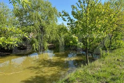 Teren 19000mp , iaz -120mp, Botosanita, Siret - 7