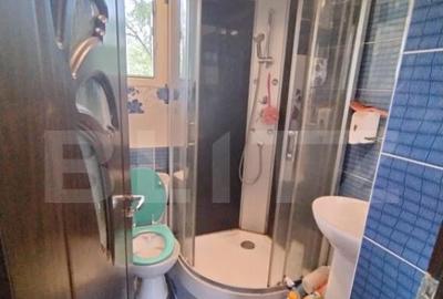 Casa P+M, 418 mp curte, 150mp util, parc Romanescu Extensiv - 5