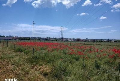 Teren de 1000 mp, în Agigea - 2