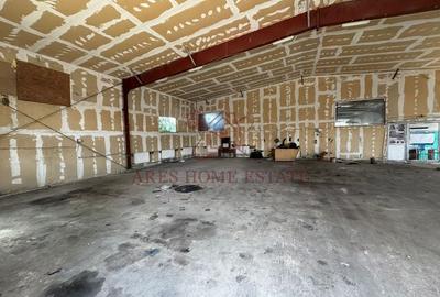 Spațiu industrial/depozit 228 mp – Moșnița Nouă. Fostele hale Avicola. - 7