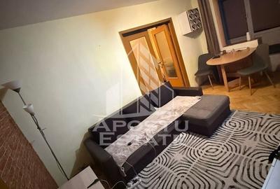 Apartament cu 2 camere nedecomandat, mobilat în Șagului - 4