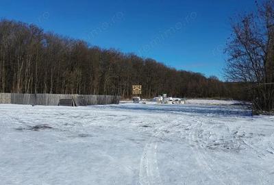 Teren Intravilan langa Padure 10.000 mp 1 hectar Suceava - 2