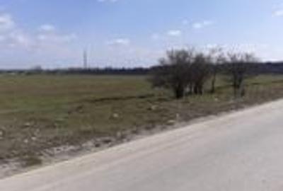 Teren intravilan 10.000 -38.000 mp industrial 1 Decembrie- DN5 stradal - 5