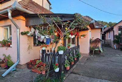 Casa familiala Dezmir - 4