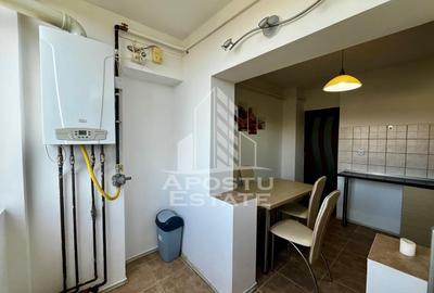 Apartament cu 3 camere decomandat, mobilat în Aradului - 13