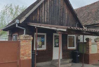 Casă cu 3 camere cu Teren 1750 Mp în Pustiniș - 2