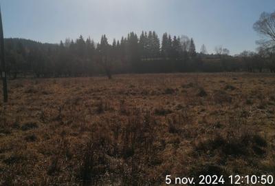 Spațiu comercial, în Ortoaia - 3