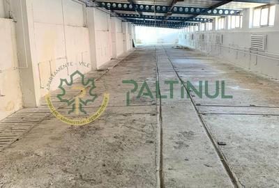 Spațiu industrial, de 700 mp, în Exterior Vest - 4