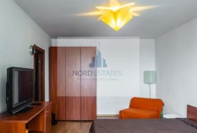 Garsoniera de inchiriat zona Titulescu-Banu Manta-Victoriei - 7