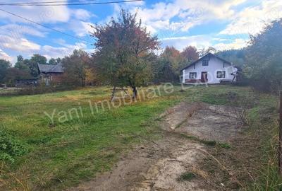 Casă în Domnești - 9