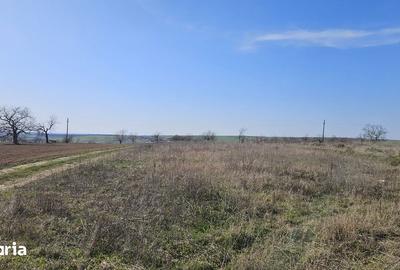 Teren de 6707 mp, în Cetariu - 1