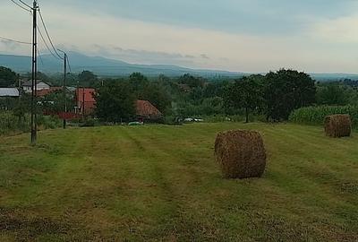 Teren Construcții intravilan de 3687 mp, în Dumbrava - 6