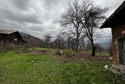 Casă cu 2 camere în Dobrotu - 6