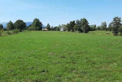 Teren agricol extravilan de 9350 mp, în Bran - 5