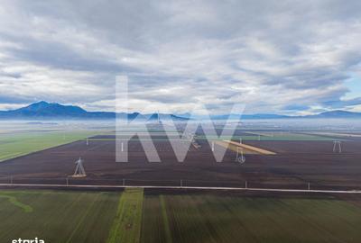 Teren de 16000 mp, în Hărmanului - 5