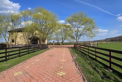 Teren de 60000 mp, în Stoenești - 6