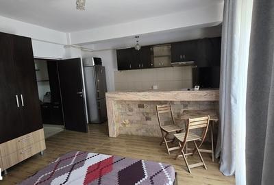 Garsonieră în Dobroești - 3