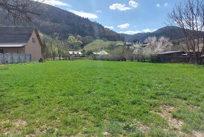 Teren de 3200 mp, în Central - 1