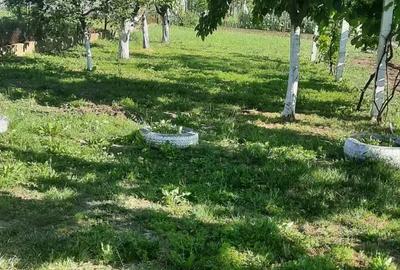 Casă cu 3 camere în Central - 1