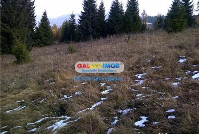 Teren de 12730 mp, în Vatra Dornei - 5