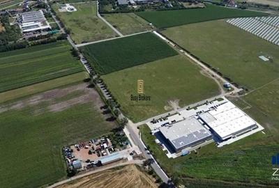 5000 mp - Teren pentru dezvoltare imobiliara - constructii industriale - 4