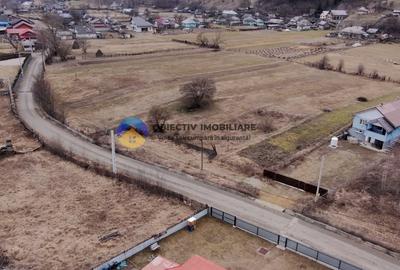 Teren Construcții intravilan de 2240 mp, în Tașca - 3