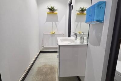 Spațiu industrial, în Brătianu - 12