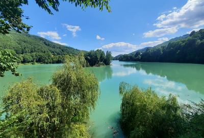 Teren de 1700 mp, în Valea Doftanei - 5
