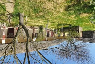 Casă cu 4 camere în Sânpetru Mare - 9