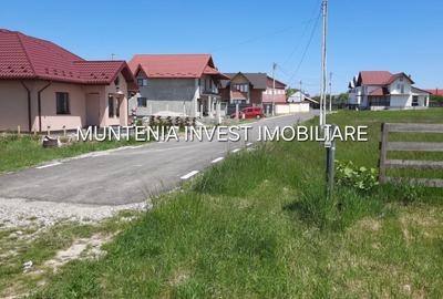 Teren de 630 mp, în Albota