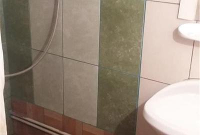 Casă cu 5 camere în Buziașului