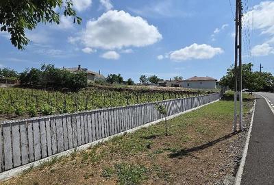 Teren de 928 mp, în Nufăru - 2