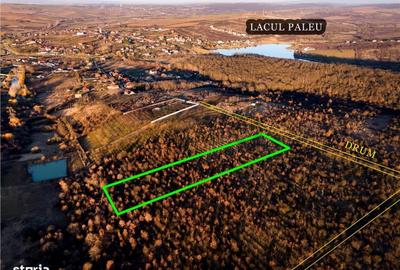 Spațiu comercial, în Paleu - 5