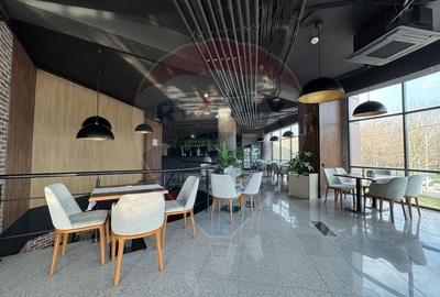 Spațiu comercial, de 480 mp, în Mihai Bravu - 2