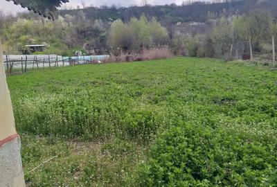 Teren de 3500 mp, în Izvoarele - 2