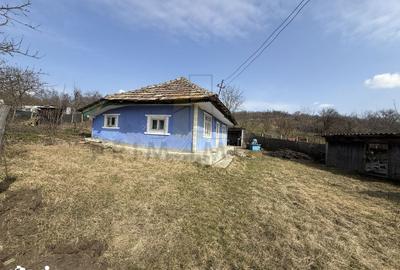 Casă cu 2 camere cu Teren 1191 Mp în Canta - 5