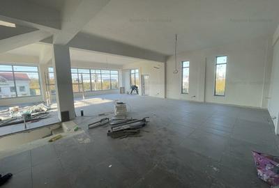 Showroom si deposit intrare Afumati  - STRADAL – RAMPA-LIFT-PARCARE TIR - 6