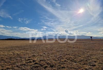 Teren extravilan arabil 1088 mp Selimbar Sibiu - 5