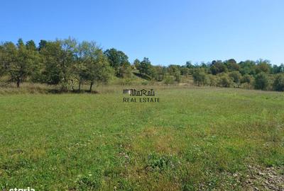 Spațiu comercial, în Luncoiu de Sus - 2