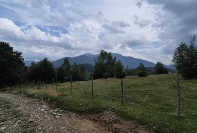 Teren extravilan 13.800 mp Ra?nov, Glajarie priveli?te superba, oportunitate de investi?ie Teren extravilan 13.800 mp Ra?nov, Glajarie priveli?te superba, oportunitate de investi?ie - 3