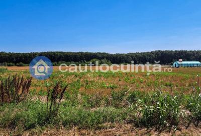 Teren de vanzare intravilan Ghermanesti | Scoala Ghermanesti | Mega Image - 3