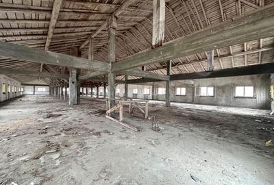 Spațiu comercial, de 2,167 mp, în Drânceni - 2