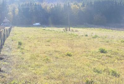 PF inchiriez 11000 mp teren in Gilau aproape de nodul de autostrada acces din DN1 ,parking depozit - 3